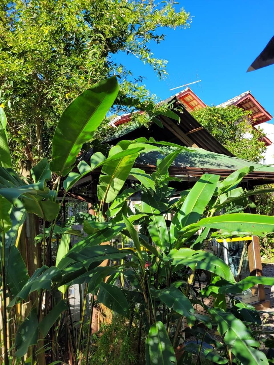 Recanto Dos Bambus Pousada Hotel Florianópolis Kültér fotó