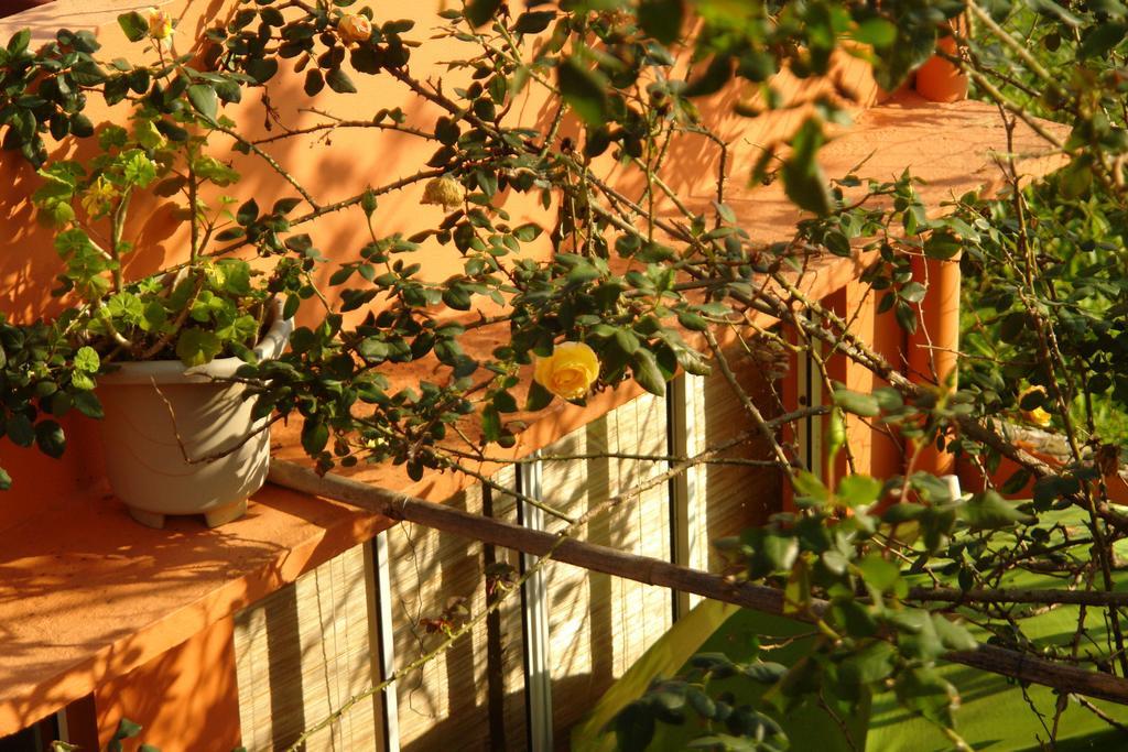 Recanto Dos Bambus Pousada Hotel Florianópolis Kültér fotó